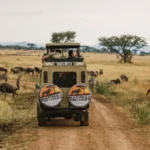 Tanzanija Tour